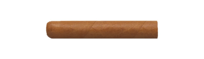 Zigarre Robusto