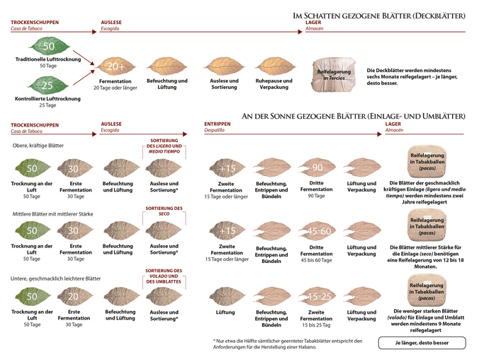 Infografik Verarbeitung