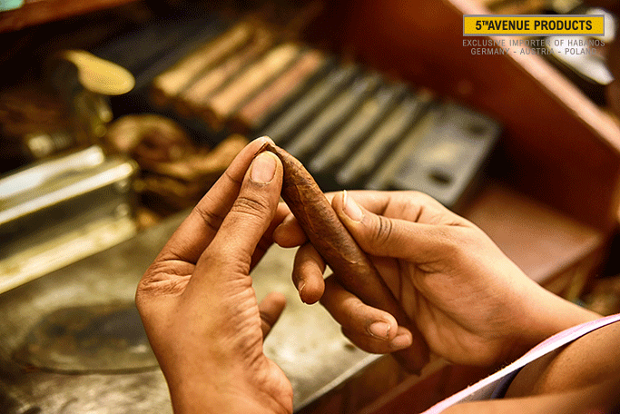 Habanos Torcedor