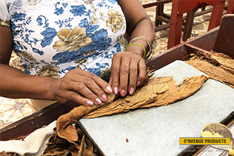 Die „Grande Dame“ der Torcedores Maritza Acuña