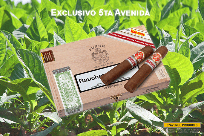 Punch Preferido Edición Regional 2018 - Exclusivo 5ta Avenida