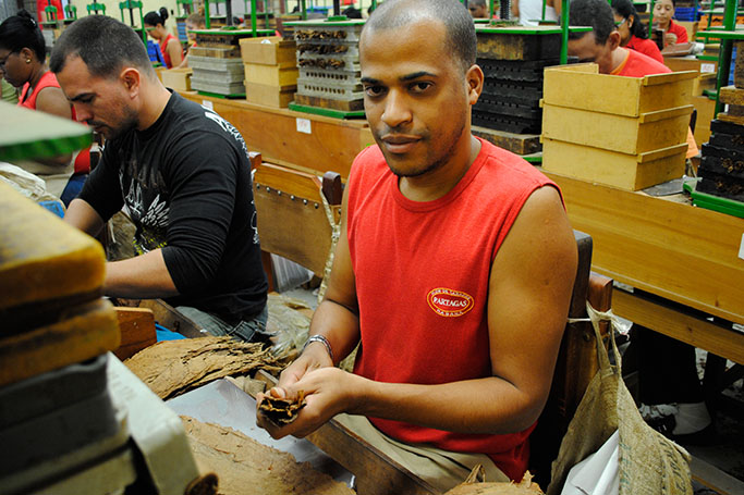 Meister-Torcedor in Deutschland