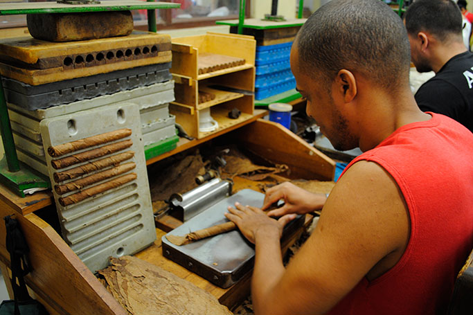 Meister-Torcedor in Deutschland