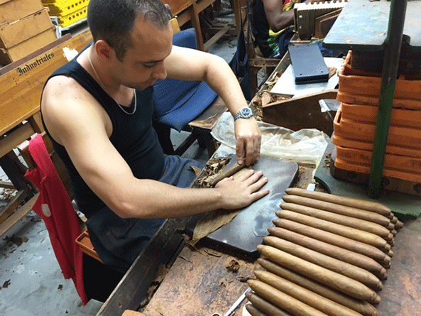 Habanos-Meister-Torcedor Yasmel Sotomayor