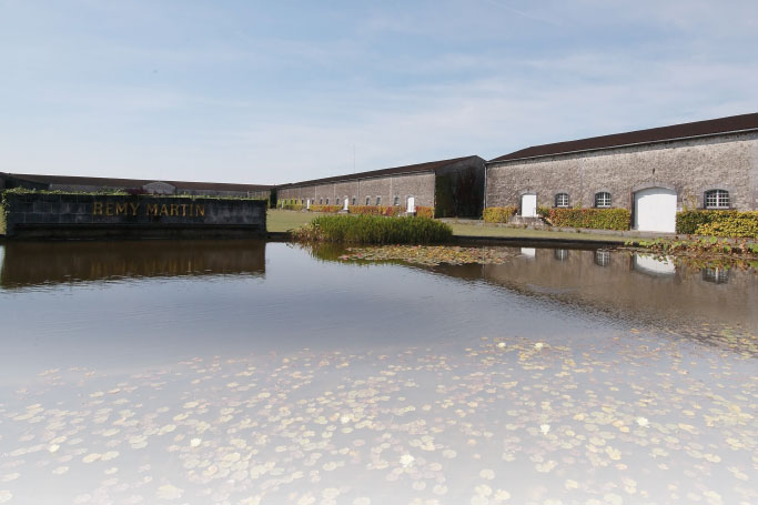 Pairing: Genuss in Kombination  Teil 4: Maison Rémy Martin – “1738 Accord Royal”